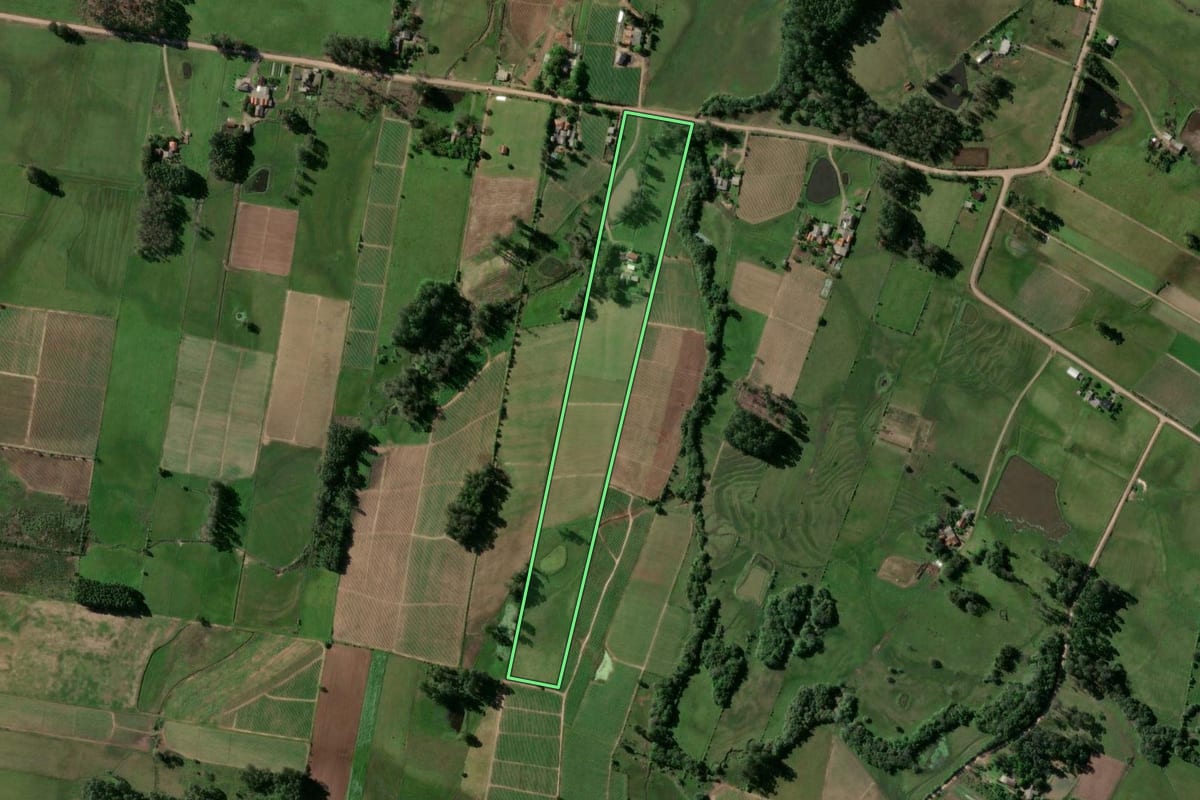 Imagem de satélite do imóvel rural em Passo do Sobrado (RS), com o contorno declarado no CAR desenhado por cima.