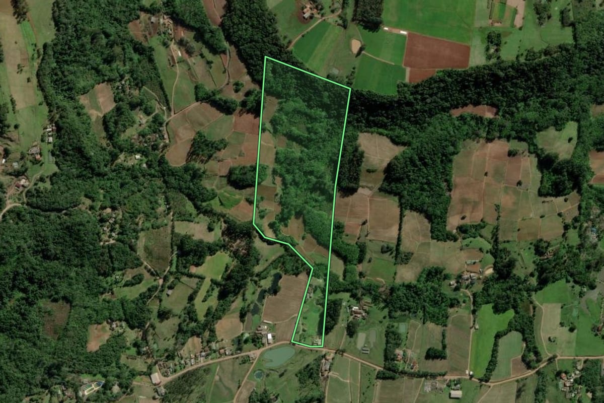 Imagem de satélite do imóvel rural em Passo do Sobrado (RS), com o contorno declarado no CAR desenhado por cima.