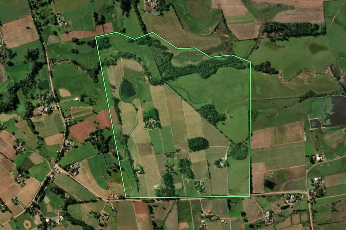 Imagem de satélite do imóvel rural em Passo do Sobrado (RS), com o contorno declarado no CAR desenhado por cima.