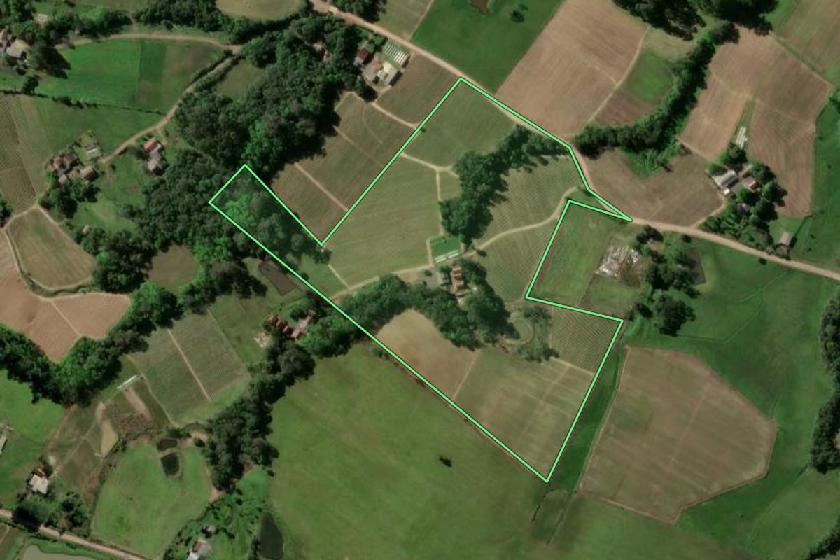 Imagem de satélite do imóvel rural em Passo do Sobrado (RS), com o contorno declarado no CAR desenhado por cima.