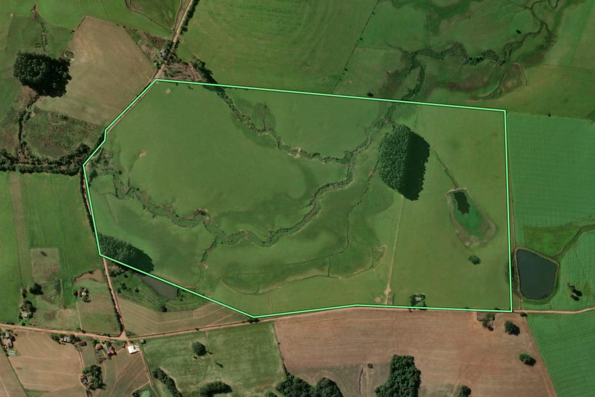 Imagem de satélite do imóvel rural em Passo do Sobrado (RS), com o contorno declarado no CAR desenhado por cima.