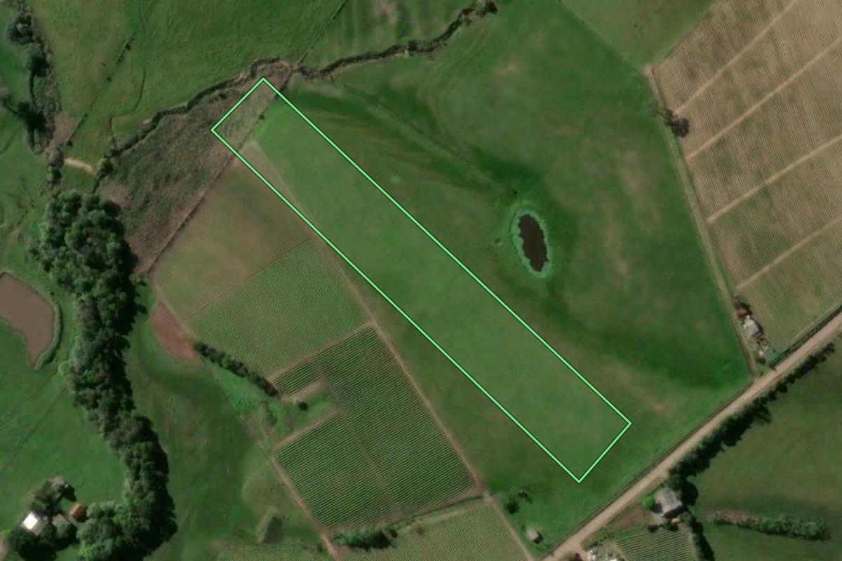 Imagem de satélite do imóvel rural em Passo do Sobrado (RS), com o contorno declarado no CAR desenhado por cima.