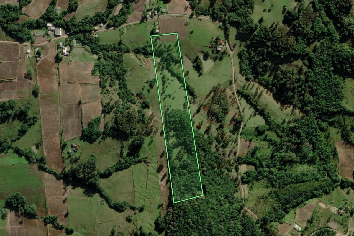 Imagem de satélite do imóvel rural em Passo do Sobrado (RS), com o contorno declarado no CAR desenhado por cima.