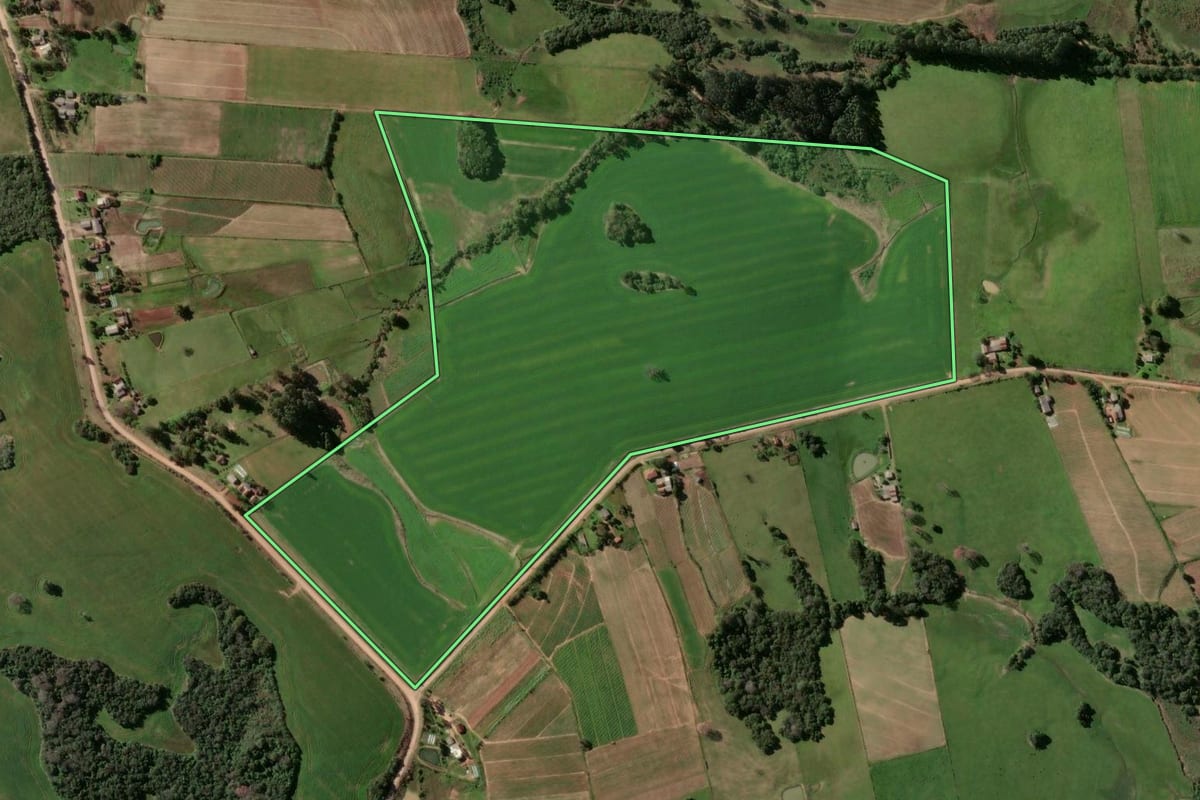 Imagem de satélite do imóvel rural em Passo do Sobrado (RS), com o contorno declarado no CAR desenhado por cima.