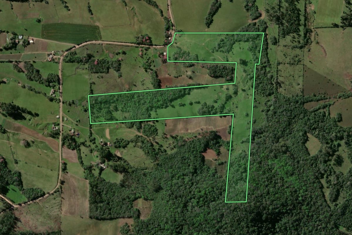 Imagem de satélite do imóvel rural em Passo do Sobrado (RS), com o contorno declarado no CAR desenhado por cima.