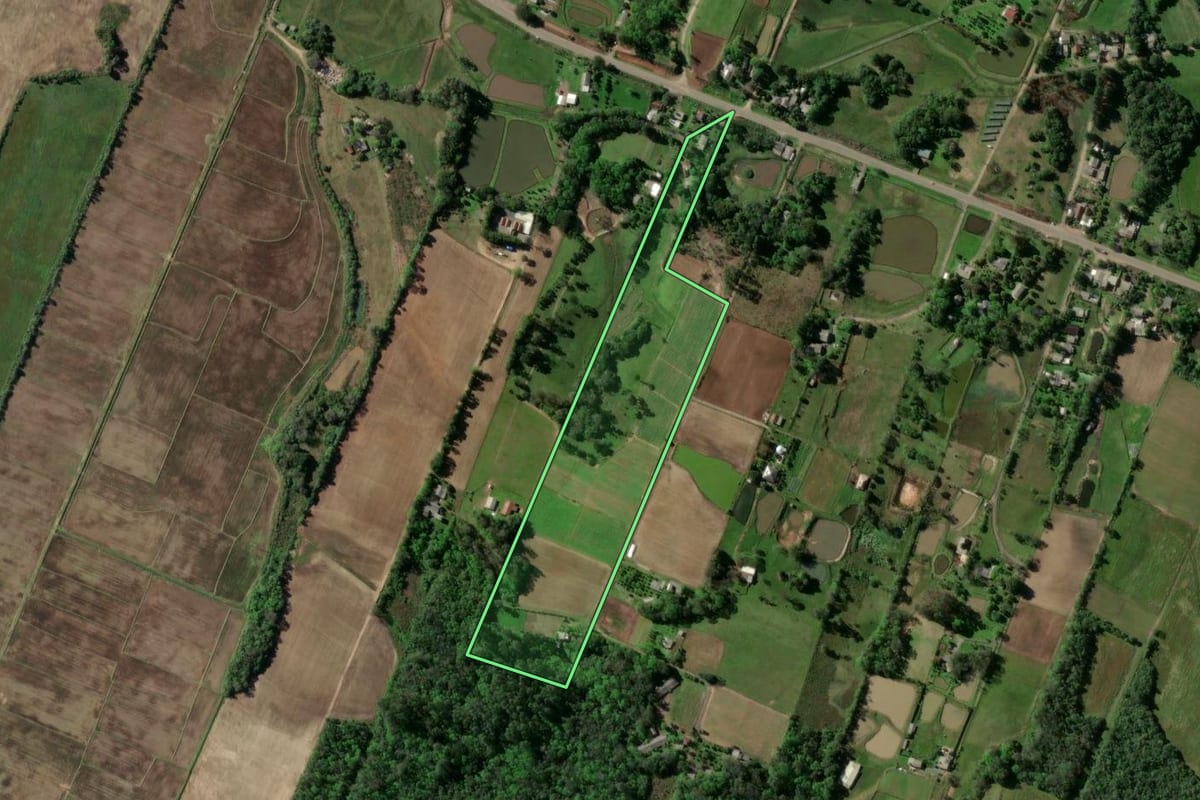 Imagem de satélite do imóvel rural em Passo do Sobrado (RS), com o contorno declarado no CAR desenhado por cima.