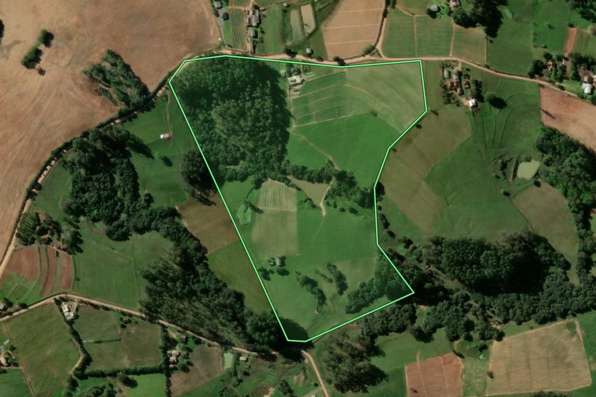 Imagem de satélite do imóvel rural em Passo do Sobrado (RS), com o contorno declarado no CAR desenhado por cima.