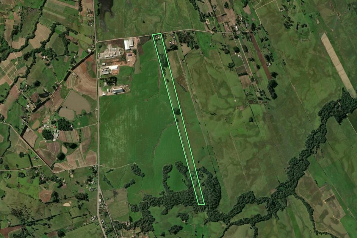 Imagem de satélite do imóvel rural em Passo do Sobrado (RS), com o contorno declarado no CAR desenhado por cima.