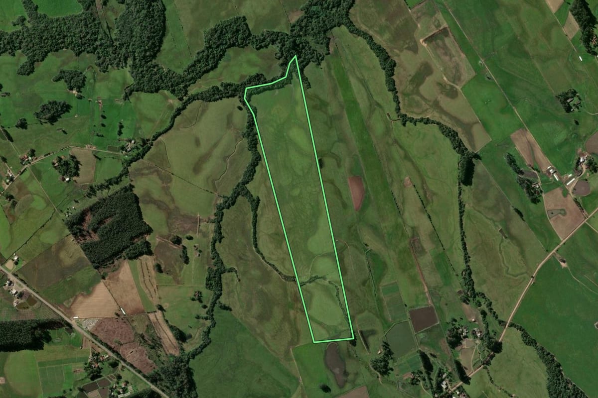 Imagem de satélite do imóvel rural em Passo do Sobrado (RS), com o contorno declarado no CAR desenhado por cima.