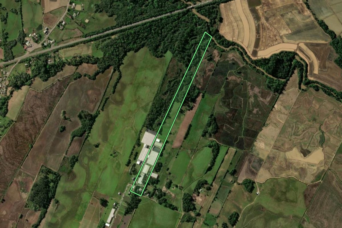 Imagem de satélite do imóvel rural em Passo do Sobrado (RS), com o contorno declarado no CAR desenhado por cima.