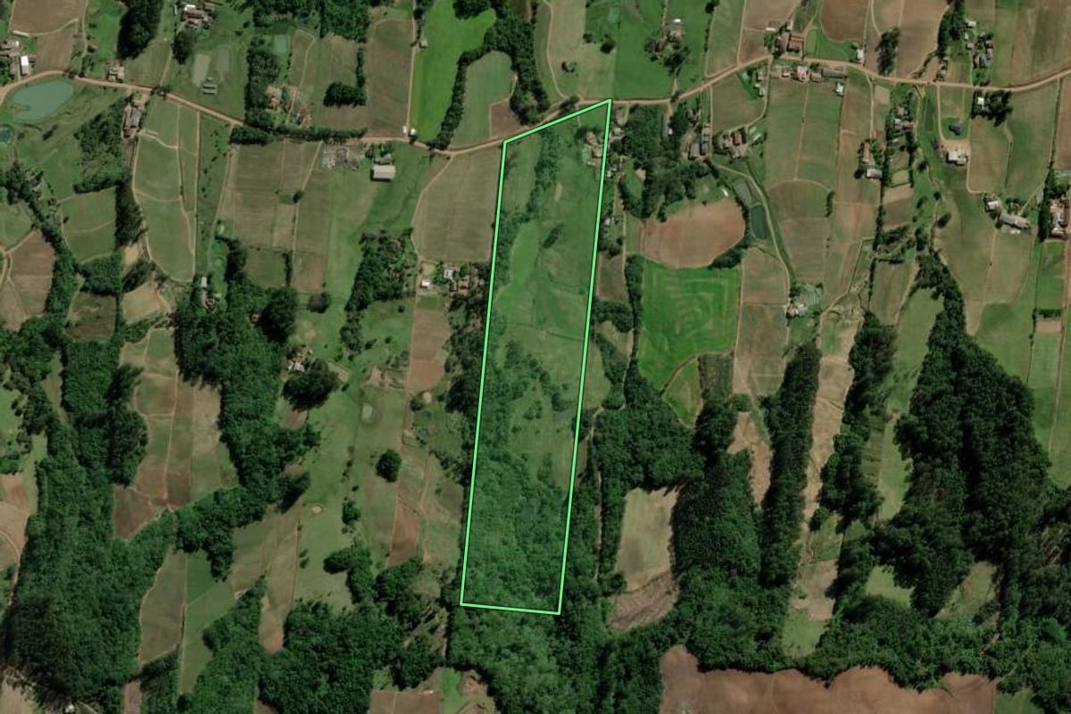 Imagem de satélite do imóvel rural em Passo do Sobrado (RS), com o contorno declarado no CAR desenhado por cima.