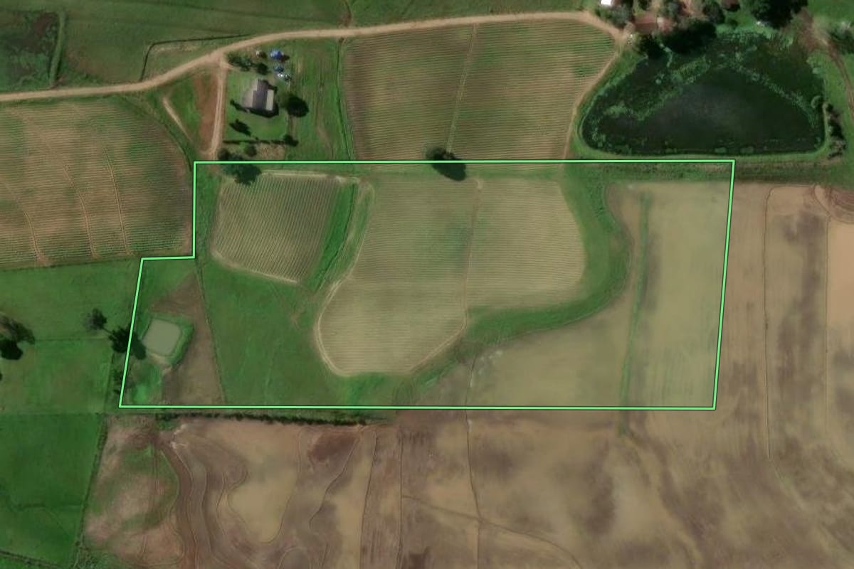 Imagem de satélite do imóvel rural em Passo do Sobrado (RS), com o contorno declarado no CAR desenhado por cima.