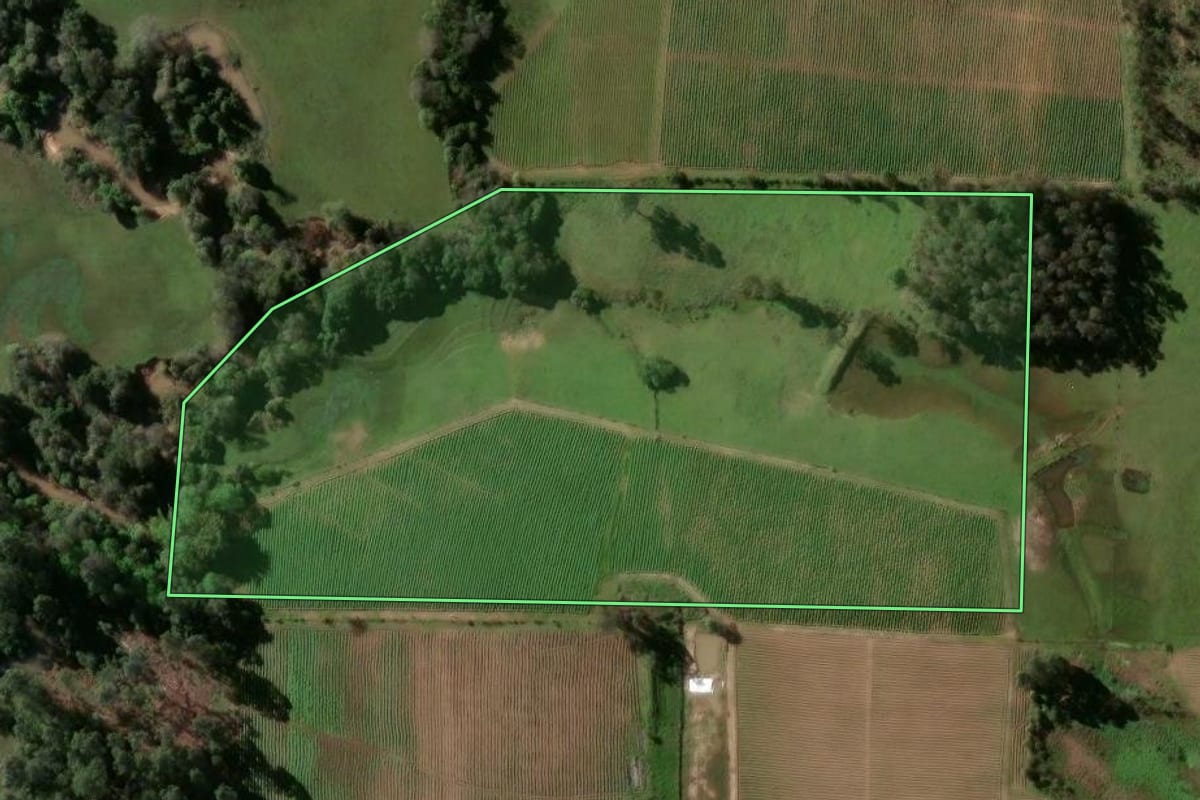 Imagem de satélite do imóvel rural em Passo do Sobrado (RS), com o contorno declarado no CAR desenhado por cima.