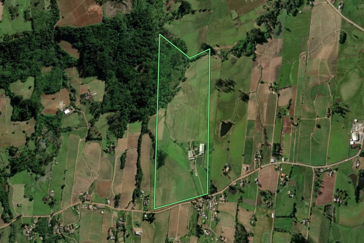 Imagem de satélite do imóvel rural em Passo do Sobrado (RS), com o contorno declarado no CAR desenhado por cima.