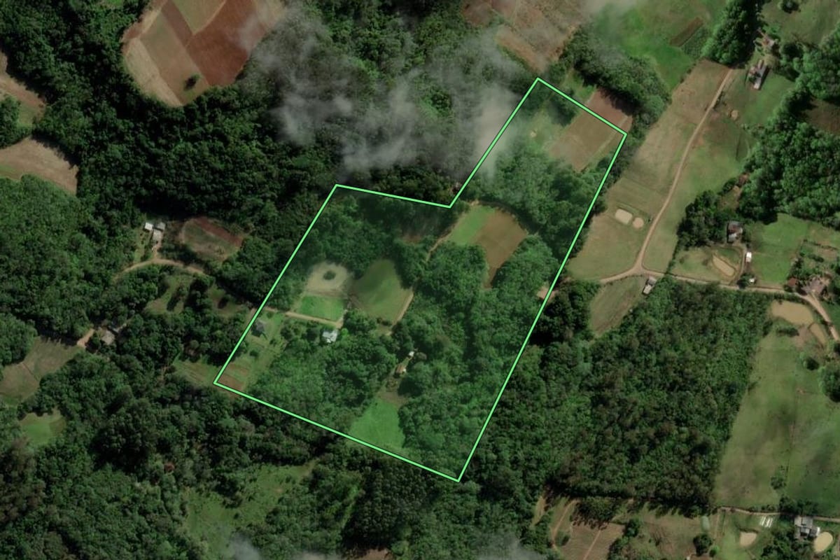 Imagem de satélite do imóvel rural em Passo do Sobrado (RS), com o contorno declarado no CAR desenhado por cima.
