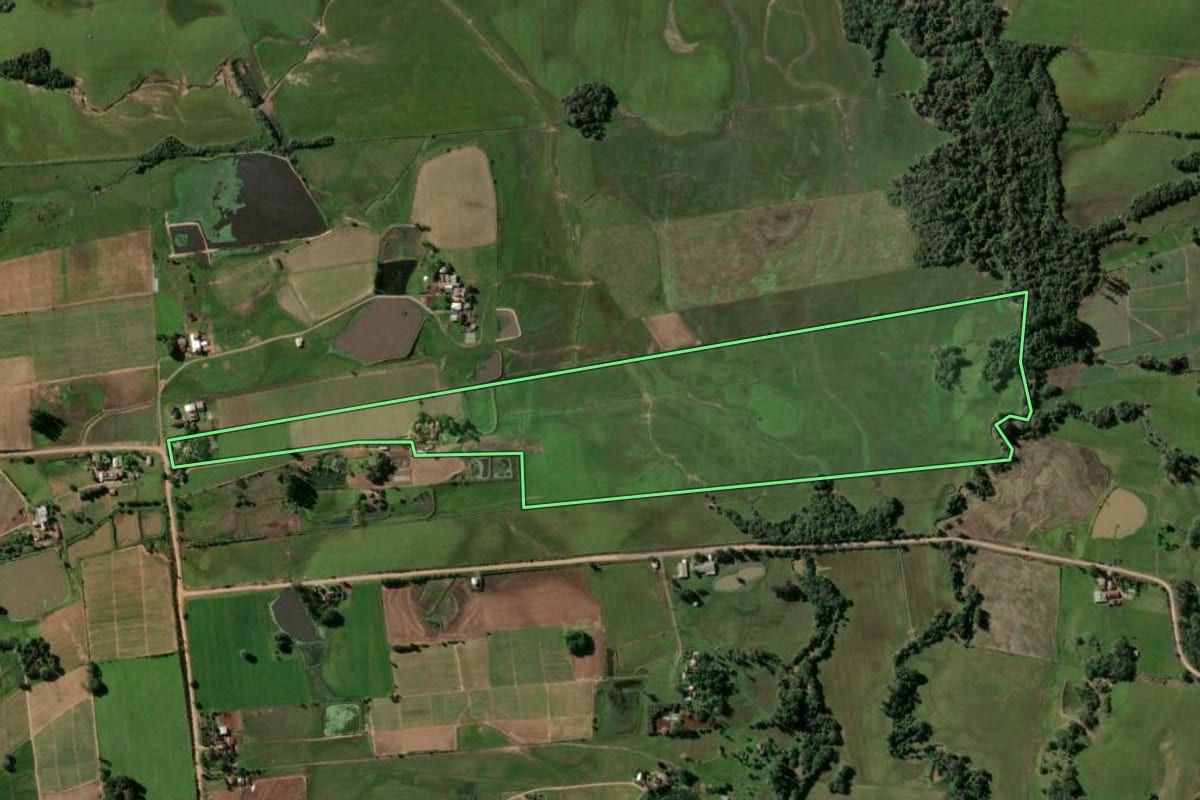 Imagem de satélite do imóvel rural em Passo do Sobrado (RS), com o contorno declarado no CAR desenhado por cima.