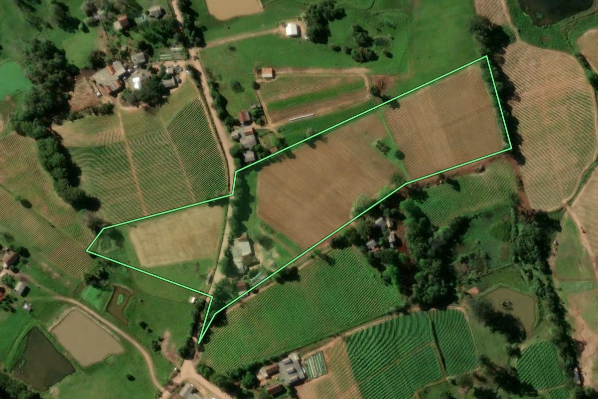 Imagem de satélite do imóvel rural em Passo do Sobrado (RS), com o contorno declarado no CAR desenhado por cima.