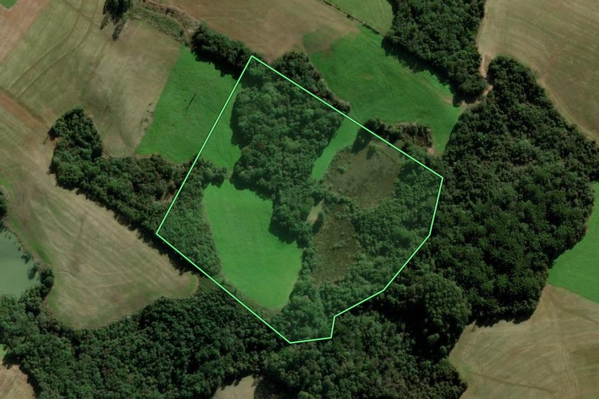 Imagem de satélite do imóvel rural em Passo Fundo (RS), com o contorno declarado no CAR desenhado por cima.