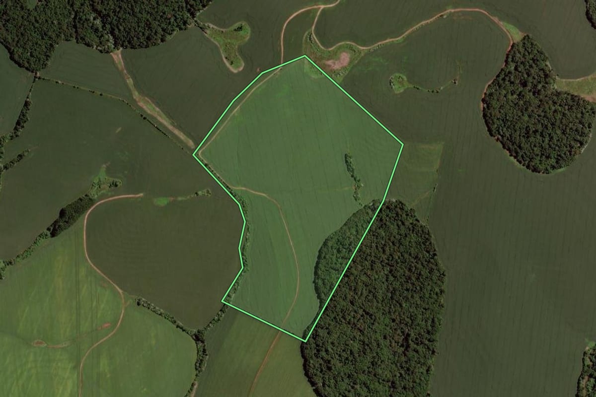Imagem de satélite do imóvel rural em Passo Fundo (RS), com o contorno declarado no CAR desenhado por cima.
