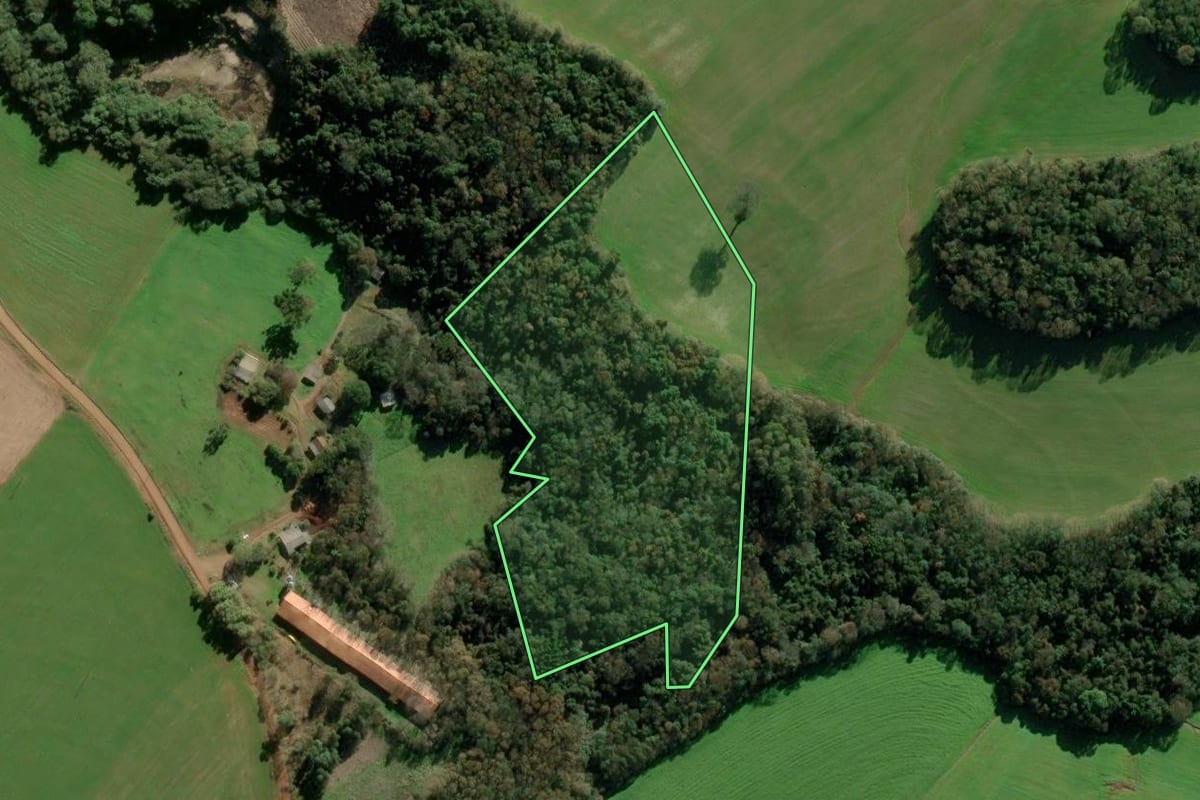 Imagem de satélite do imóvel rural em Passo Fundo (RS), com o contorno declarado no CAR desenhado por cima.