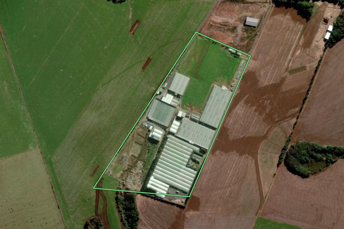 Imagem de satélite do imóvel rural em Passo Fundo (RS), com o contorno declarado no CAR desenhado por cima.