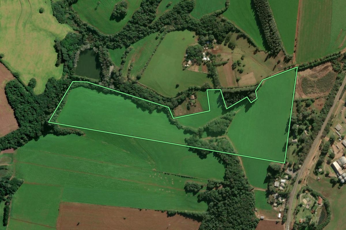 Imagem de satélite do imóvel rural em Passo Fundo (RS), com o contorno declarado no CAR desenhado por cima.