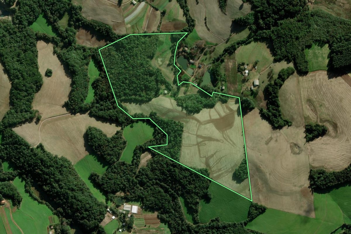 Imagem de satélite do imóvel rural em Passo Fundo (RS), com o contorno declarado no CAR desenhado por cima.