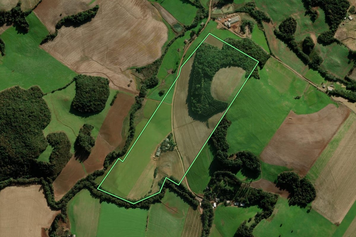 Imagem de satélite do imóvel rural em Passo Fundo (RS), com o contorno declarado no CAR desenhado por cima.