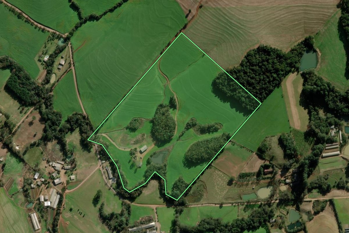 Imagem de satélite do imóvel rural em Passo Fundo (RS), com o contorno declarado no CAR desenhado por cima.