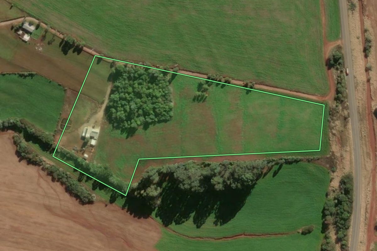 Imagem de satélite do imóvel rural em Passo Fundo (RS), com o contorno declarado no CAR desenhado por cima.