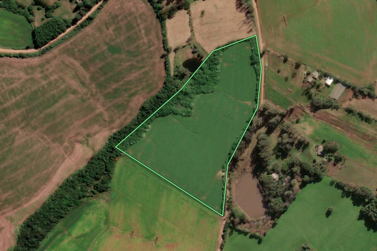 Imagem de satélite do imóvel rural em Passo Fundo (RS), com o contorno declarado no CAR desenhado por cima.
