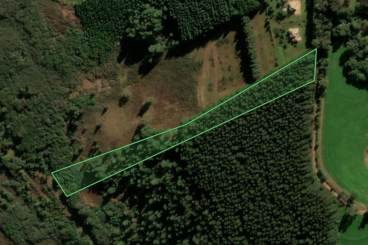 Imagem de satélite do imóvel rural em Passo Fundo (RS), com o contorno declarado no CAR desenhado por cima.