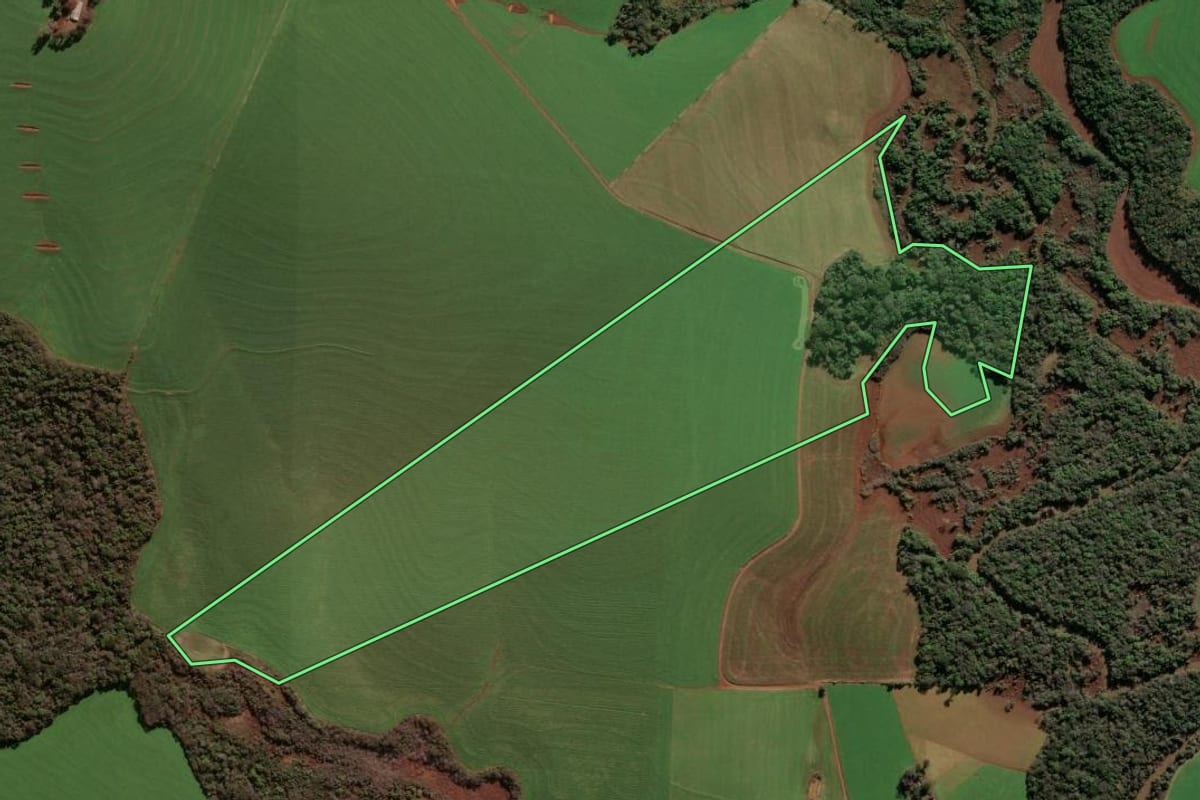 Imagem de satélite do imóvel rural em Passo Fundo (RS), com o contorno declarado no CAR desenhado por cima.