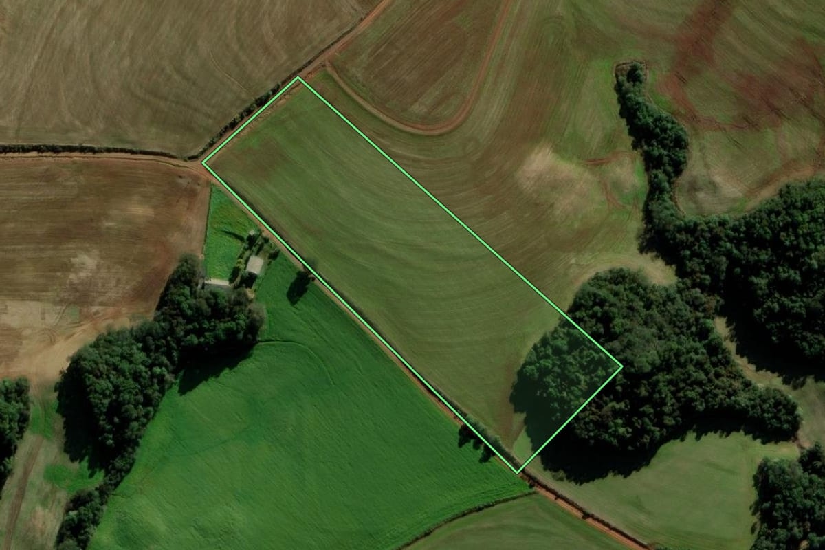 Imagem de satélite do imóvel rural em Passo Fundo (RS), com o contorno declarado no CAR desenhado por cima.