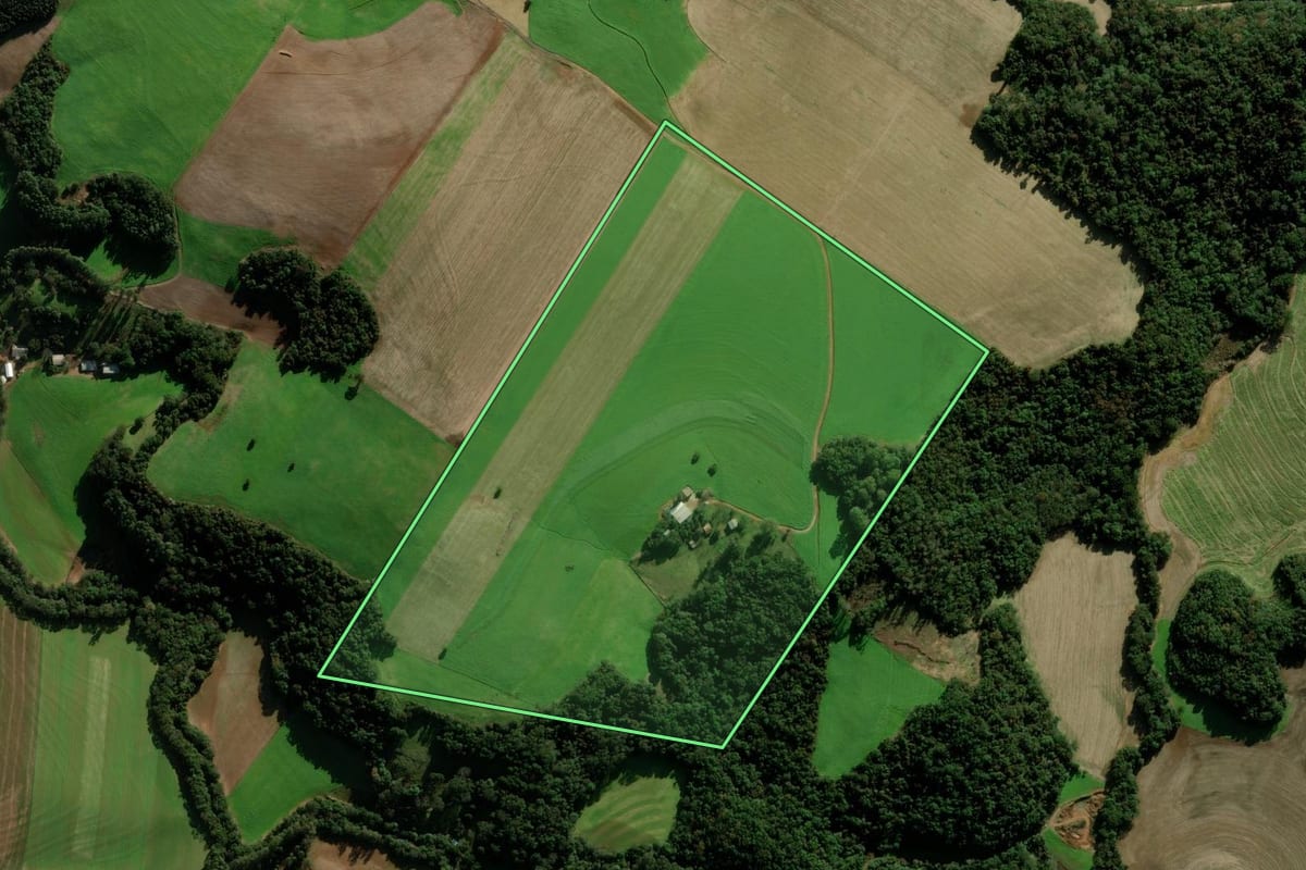 Imagem de satélite do imóvel rural em Passo Fundo (RS), com o contorno declarado no CAR desenhado por cima.