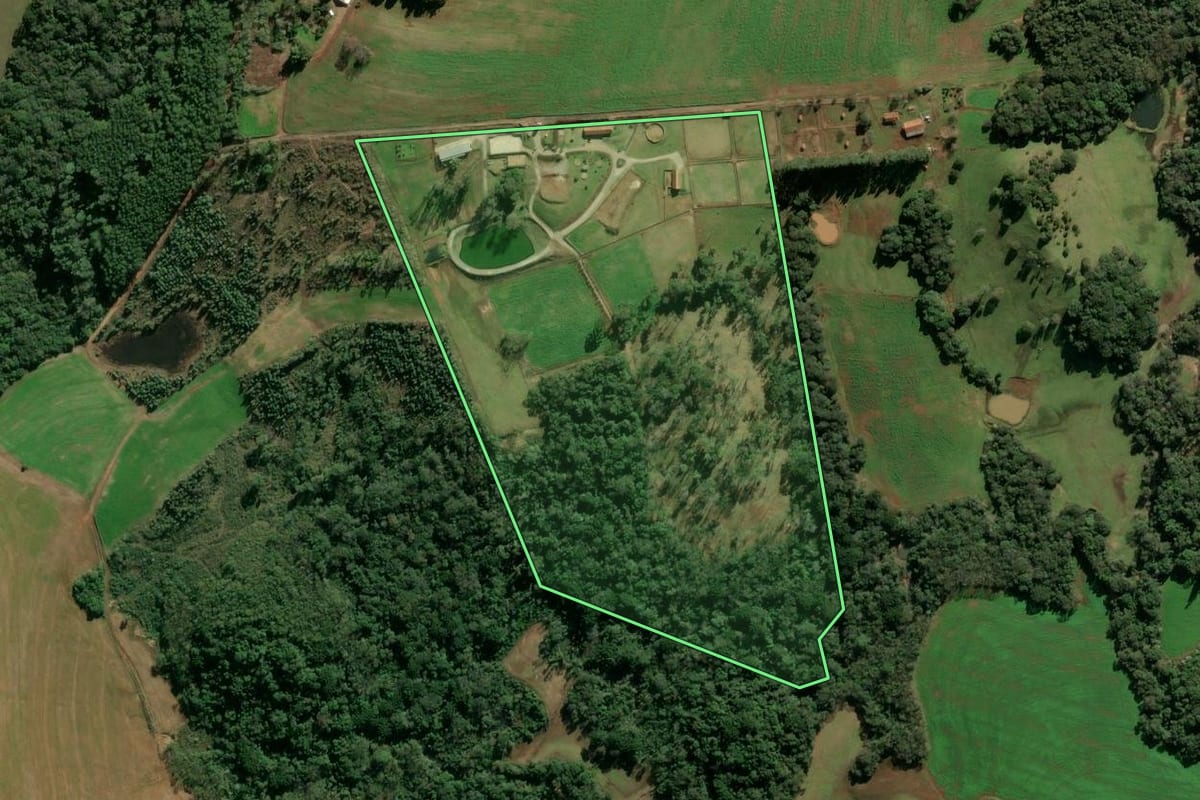 Imagem de satélite do imóvel rural em Passo Fundo (RS), com o contorno declarado no CAR desenhado por cima.