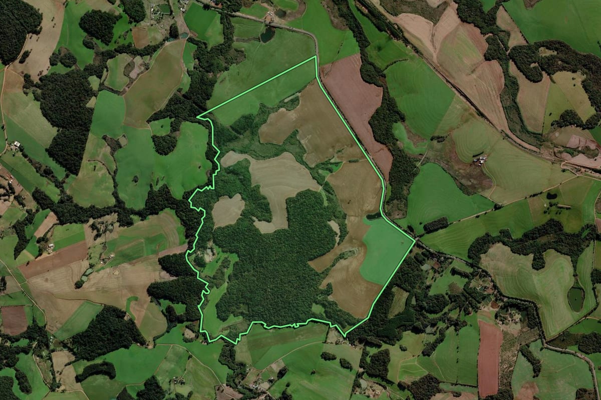 Imagem de satélite do imóvel rural em Passo Fundo (RS), com o contorno declarado no CAR desenhado por cima.