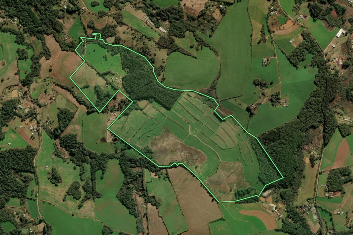 Imagem de satélite do imóvel rural em Passo Fundo (RS), com o contorno declarado no CAR desenhado por cima.