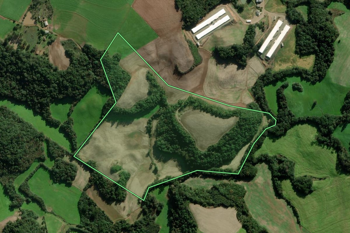 Imagem de satélite do imóvel rural em Passo Fundo (RS), com o contorno declarado no CAR desenhado por cima.