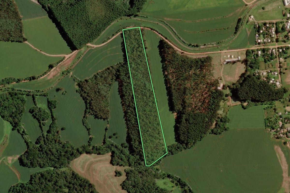 Imagem de satélite do imóvel rural em Passo Fundo (RS), com o contorno declarado no CAR desenhado por cima.
