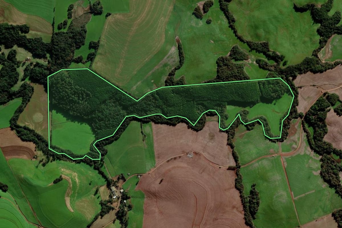 Imagem de satélite do imóvel rural em Passo Fundo (RS), com o contorno declarado no CAR desenhado por cima.