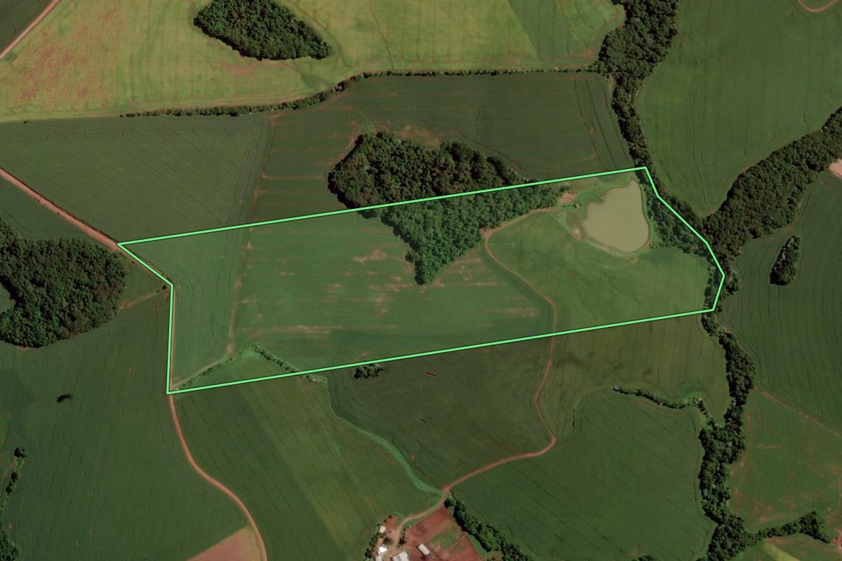 Imagem de satélite do imóvel rural em Passo Fundo (RS), com o contorno declarado no CAR desenhado por cima.
