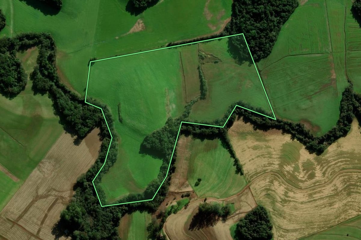 Imagem de satélite do imóvel rural em Passo Fundo (RS), com o contorno declarado no CAR desenhado por cima.
