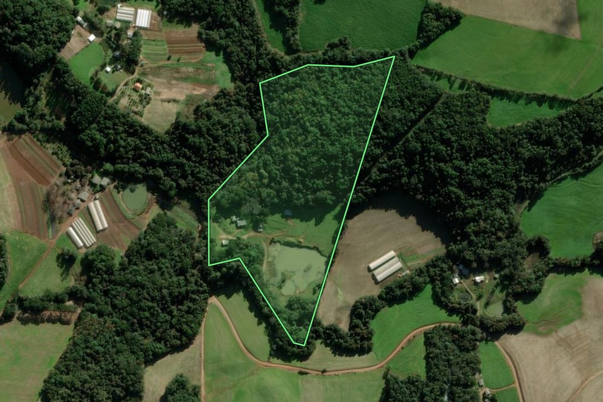 Imagem de satélite do imóvel rural em Passo Fundo (RS), com o contorno declarado no CAR desenhado por cima.