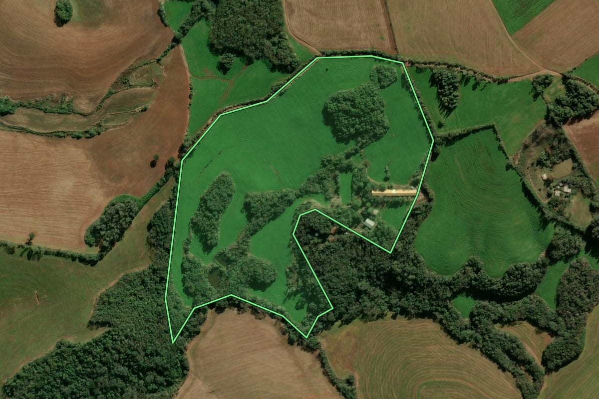 Imagem de satélite do imóvel rural em Passo Fundo (RS), com o contorno declarado no CAR desenhado por cima.