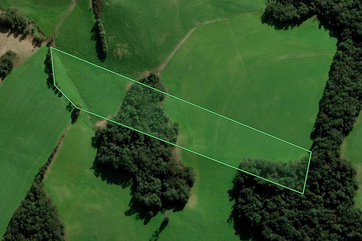 Imagem de satélite do imóvel rural em Passo Fundo (RS), com o contorno declarado no CAR desenhado por cima.