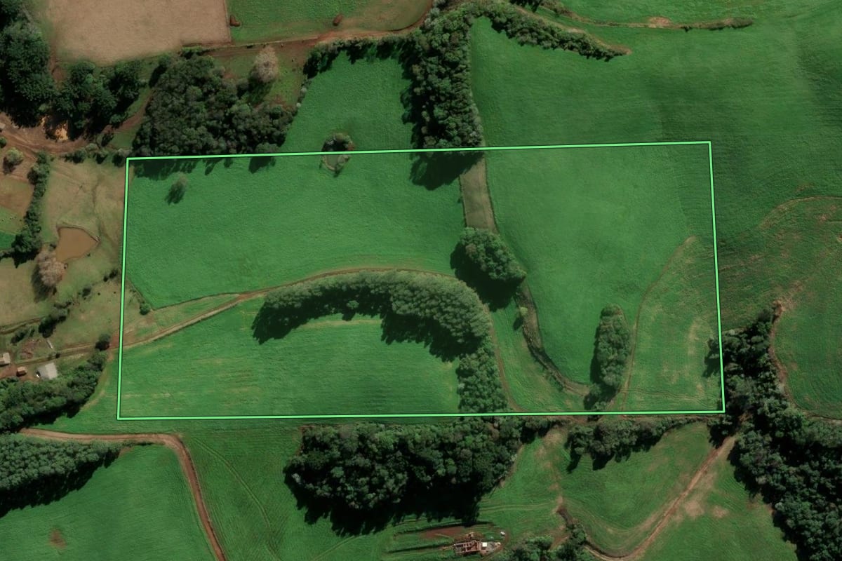 Imagem de satélite do imóvel rural em Paulo Bento (RS), com o contorno declarado no CAR desenhado por cima.