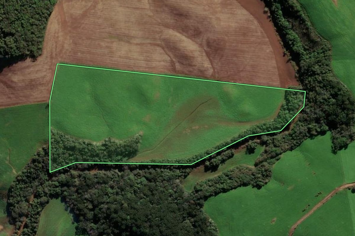 Imagem de satélite do imóvel rural em Paulo Bento (RS), com o contorno declarado no CAR desenhado por cima.