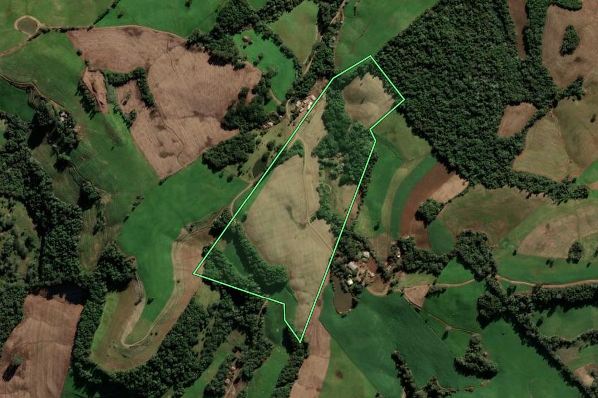 Imagem de satélite do imóvel rural em Paulo Bento (RS), com o contorno declarado no CAR desenhado por cima.