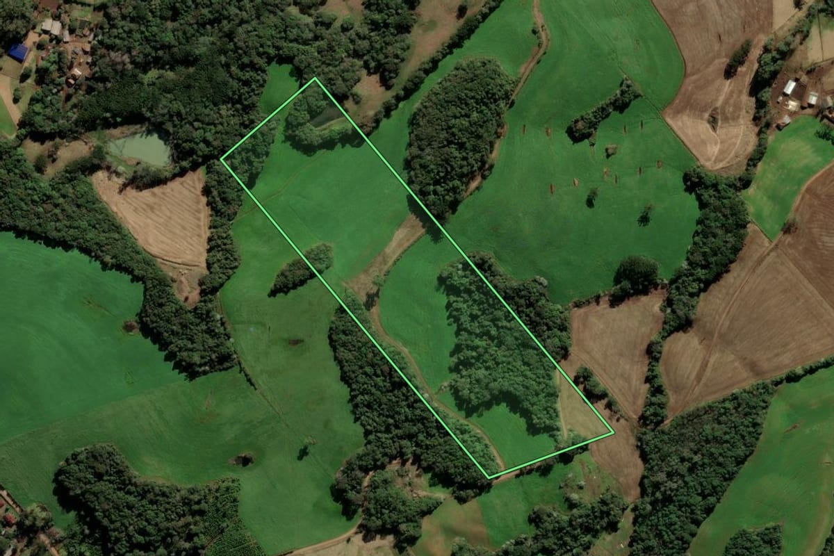 Imagem de satélite do imóvel rural em Paulo Bento (RS), com o contorno declarado no CAR desenhado por cima.
